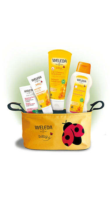 Borsa Mamma Coccinella