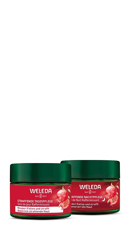 Ensemble Jour & Nuit à la Grenade et aux Peptides de Maca