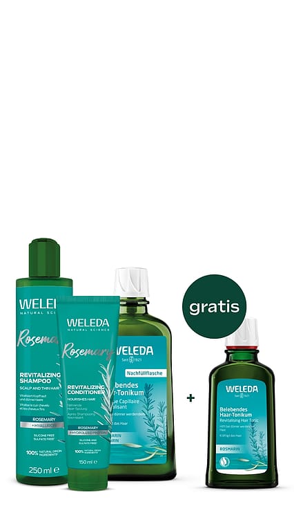 Rosmarin Haarpflege Set
