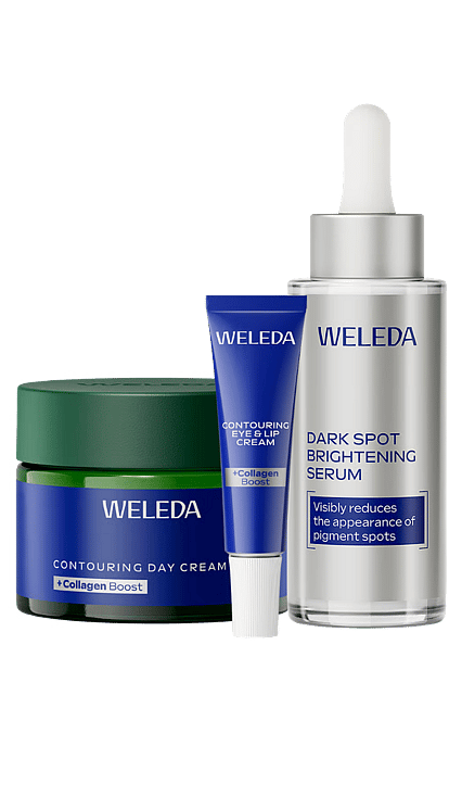 Collagen Boost Daycare Routine