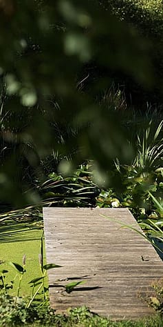 Garden path