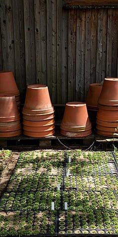 Accanto ad una parete di legno ci sono delle pile di vasi in terra cotta