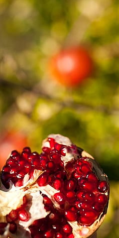 Närbild på delad Granatäpple