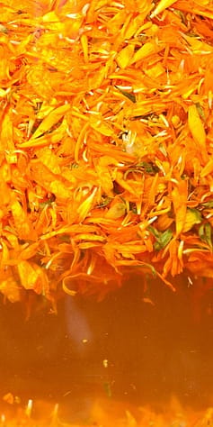 Calendula extraction in alcohol.