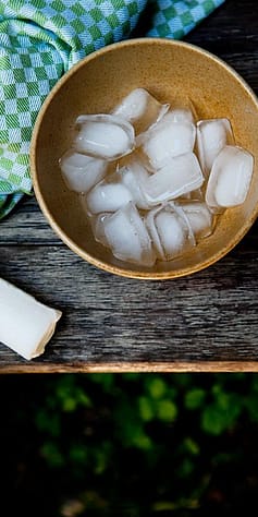 Bowl with ice.