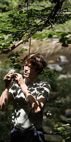 man_tree