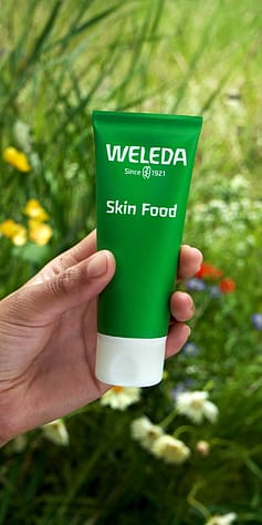 skin food krém
