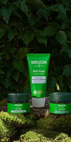 skin food produkty pro pleť