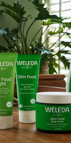 Skin Food sada pre starostlivosť o telo aj pleť