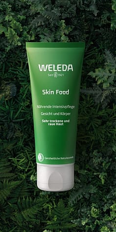 skin food