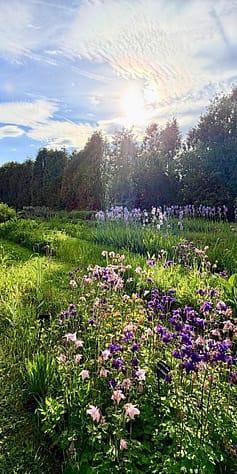 Weleda garden flowers