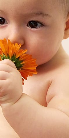 baby with calendula flower