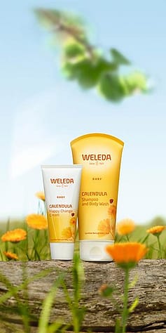Calendula Wundschutzcreme und Calendula Waschlotion & Shampoo im Calendula Feld