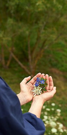 Hand full of flowers.