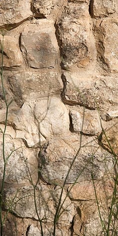 muro in pietra con dettaglio di fili d'erba