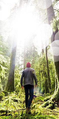 Mann spaziert im Wald