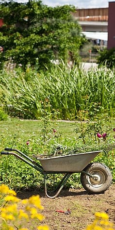schubkarre im weleda garten