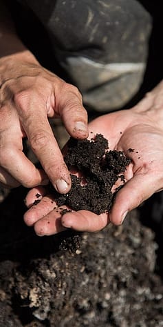 Zwei Haende mit Erde