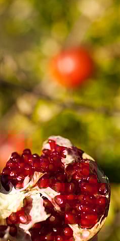 Närbild på delad Granatäpple