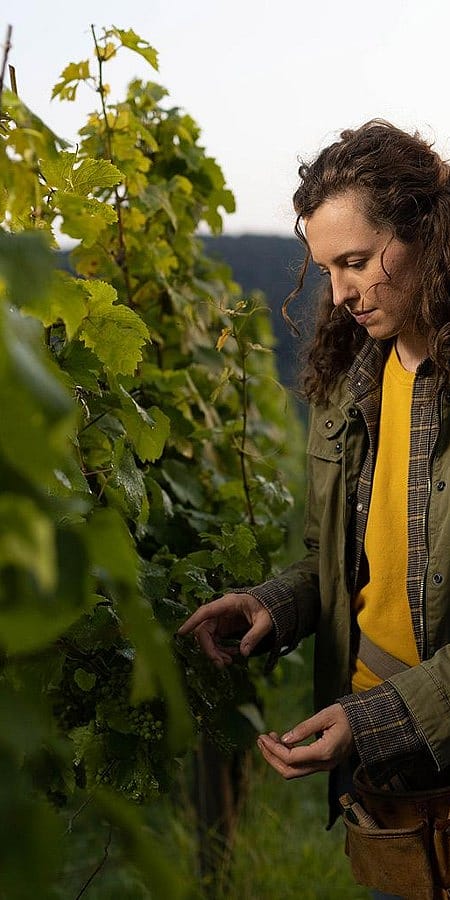 Frau bei Weinstoecken