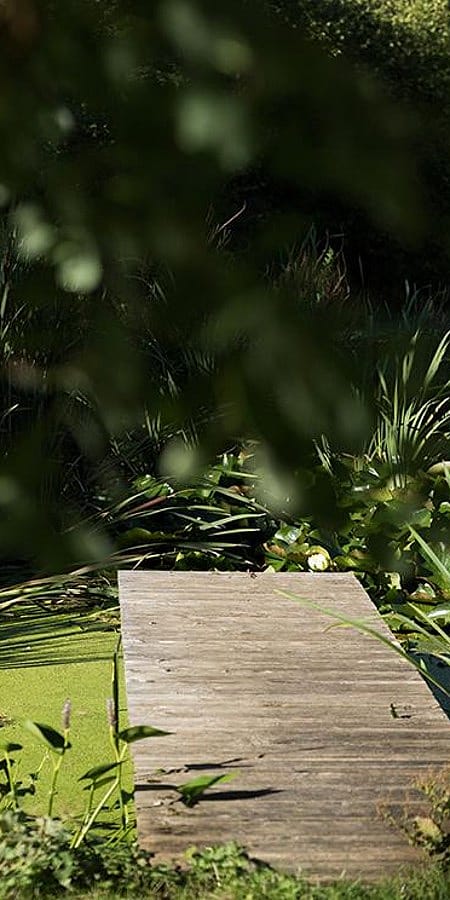 un porticciolo in mezzo alla natura