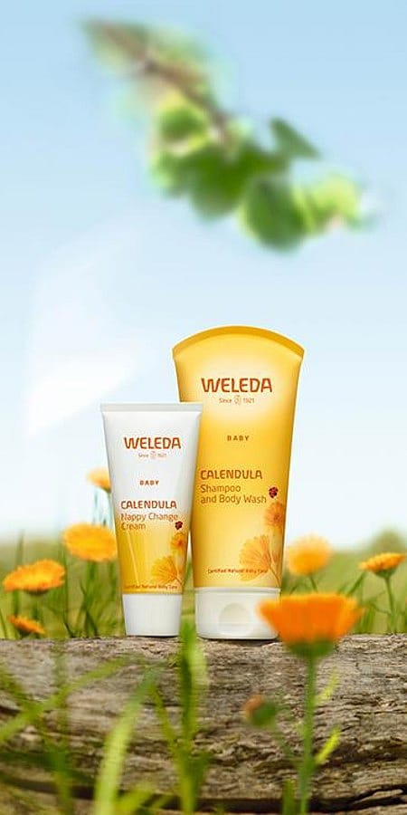 Calendula Wundschutzcreme und Calendula Waschlotion & Shampoo im Calendula Feld