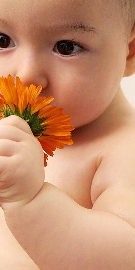 Bebis i närbild luktar på blomma