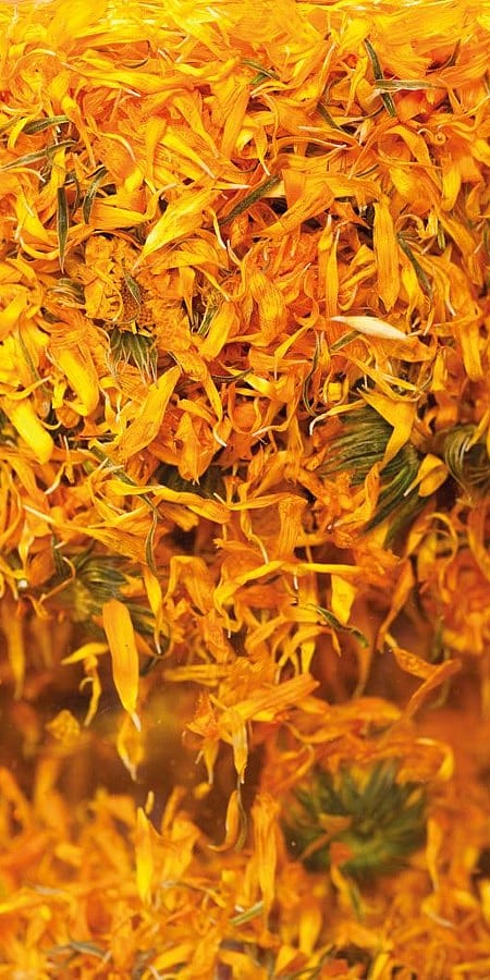 Getrocknete Calendula Blütenblätter