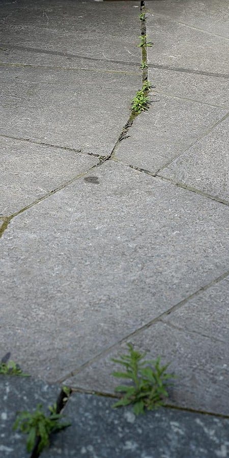 Una crepa sul pavimento da cui esce l'erba