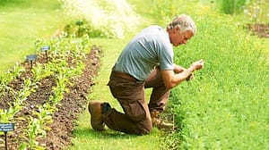 agriculture bio-dynamique