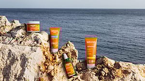 Linea arnica