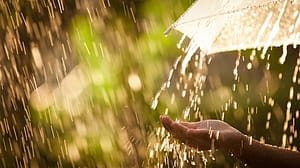 Parapluie sous la pluie