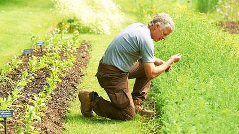 agriculture bio-dynamique