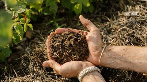 manos cogiendo tierra en el campo