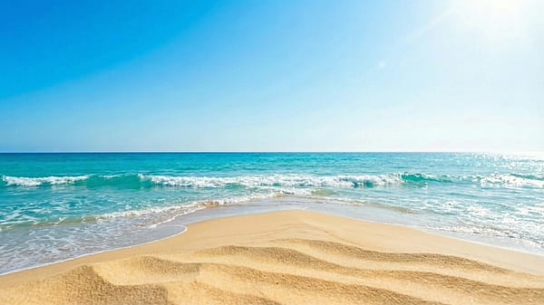 Dein Duft. Dein Face. Dein Weleda Sommer.