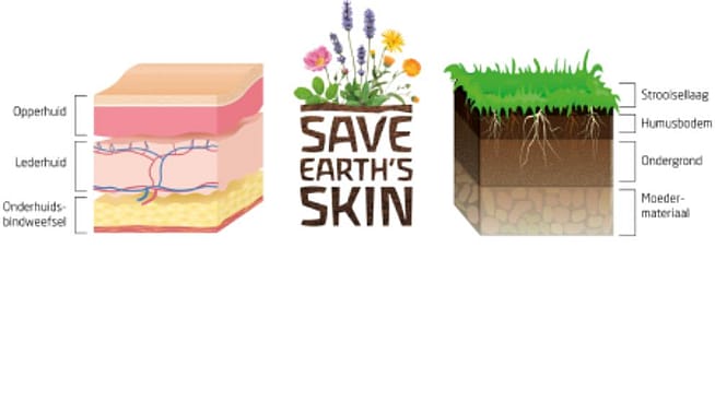 Vergelijking van de huid met de bodem