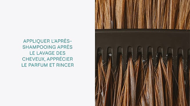 Peigne peignant les cheveux