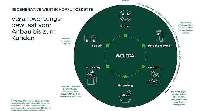 Regenerative Wertschöpfungskette: Produktinnovation, Rohstoffe, Herstellung, Verpackung, Logistik, Kunden. Unser Ziel: regenerativ wirtschaften entlang der gesamten Wertschöpfungskette.