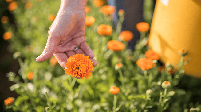 Vrouw smeert crème op