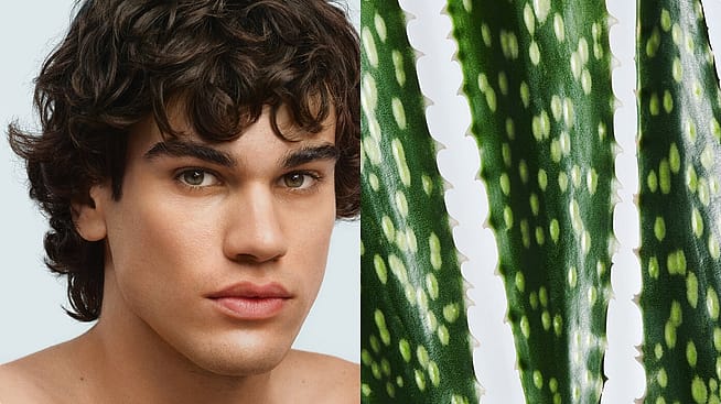 Mann mit Aloe Vera