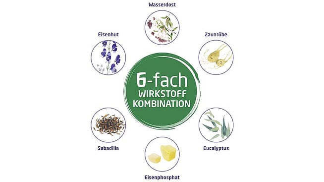 6 Kombinationspräparat aus fünf ausgewählten Heilpflanzen und Ferrum phosphoricum