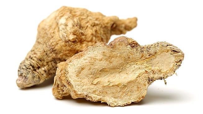 aufgeschnittene Macaknolle