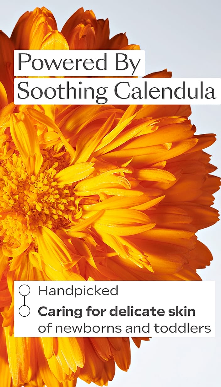 Comforting Body Lotion - Calendula 3