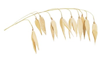 Avena Sativa (Oat) Flower/Leaf/Stem Extract