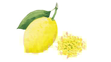 Citrus Limon (Lemon) Juice