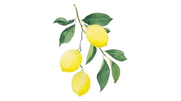 Citrus Limon (Lemon) Peel Oil