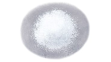 Zea Mays (Corn) Starch