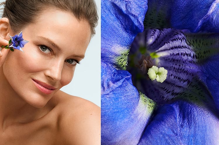Split Image, links Gesicht einer Frau, rechts die Blüte vom blauen Enzian
