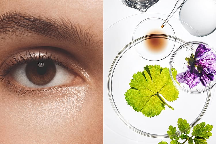 Split Image Auge einer Frau und Pflanzen