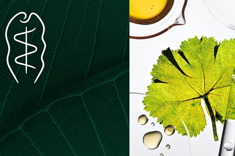 Split Image, links Weleda Logo, rechts Pflanzen